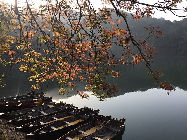 A Lake in Bhimtal