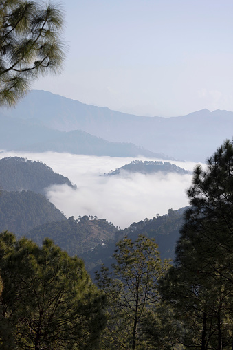 Swastikstays Binsar Image