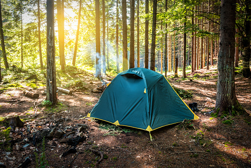 Forest Camping in Kumaon